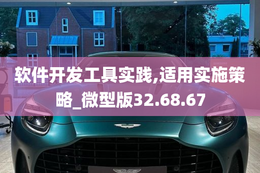 软件开发工具实践,适用实施策略_微型版32.68.67