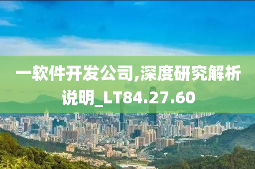 一软件开发公司,深度研究解析说明_LT84.27.60