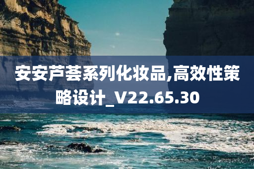 安安芦荟系列化妆品,高效性策略设计_V22.65.30