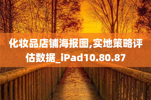 化妆品店铺海报图,实地策略评估数据_iPad10.80.87