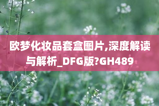 欧梦化妆品套盒图片,深度解读与解析_DFG版?GH489