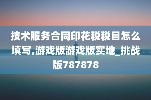 技术服务合同印花税税目怎么填写,游戏版游戏版实地_挑战版787878