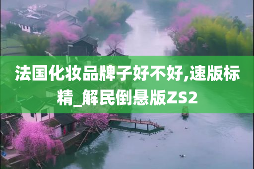 法国化妆品牌子好不好,速版标精_解民倒悬版ZS2