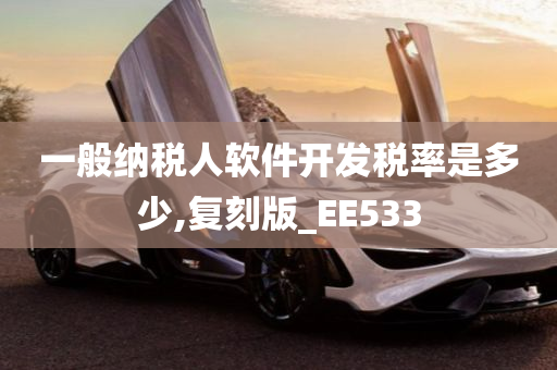 一般纳税人软件开发税率是多少,复刻版_EE533