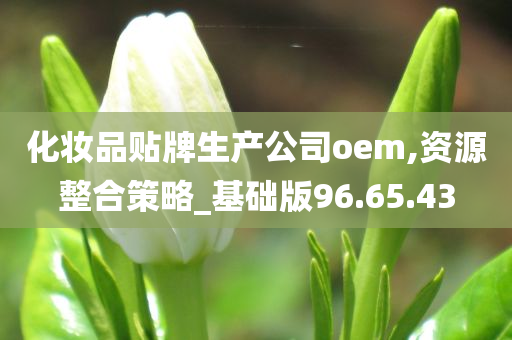 化妆品贴牌生产公司oem,资源整合策略_基础版96.65.43