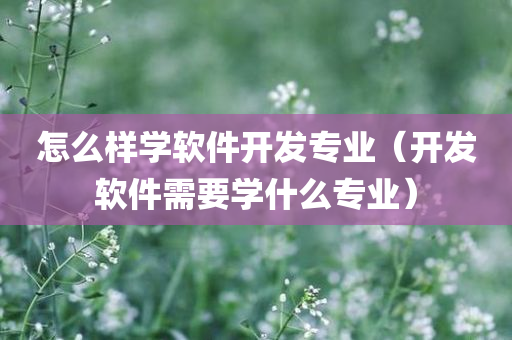 怎么样学软件开发专业（开发软件需要学什么专业）