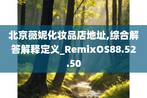 北京薇妮化妆品店地址,综合解答解释定义_RemixOS88.52.50