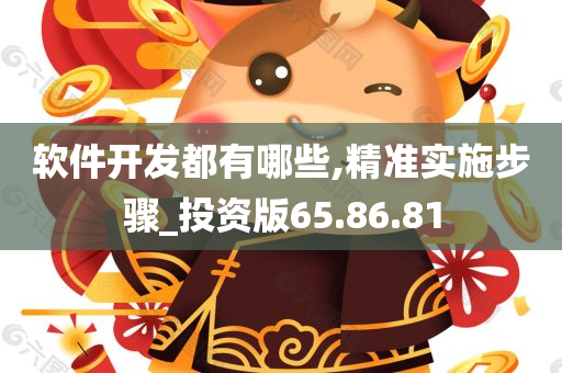 软件开发都有哪些,精准实施步骤_投资版65.86.81