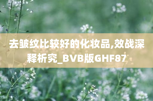 去皱纹比较好的化妆品,效战深释析究_BVB版GHF87