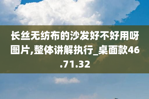 长丝无纺布的沙发好不好用呀图片,整体讲解执行_桌面款46.71.32