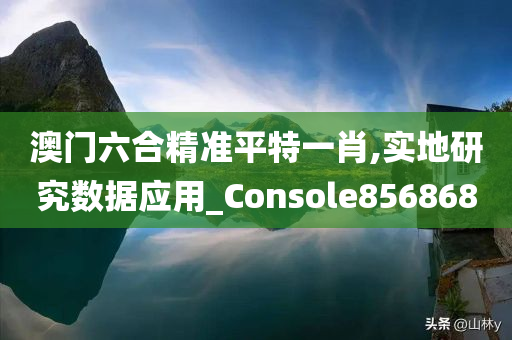 澳门六合精准平特一肖,实地研究数据应用_Console856868