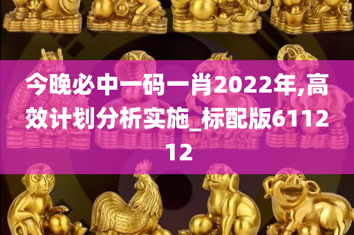 今晚必中一码一肖2022年,高效计划分析实施_标配版611212