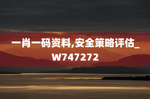 一肖一码资料,安全策略评估_W747272