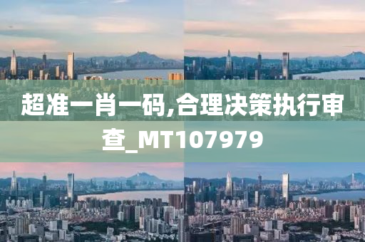 超准一肖一码,合理决策执行审查_MT107979