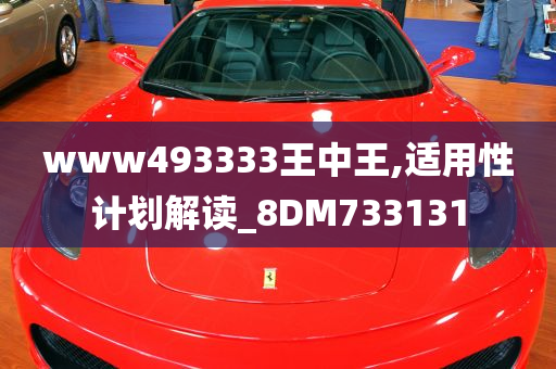 www493333王中王,适用性计划解读_8DM733131