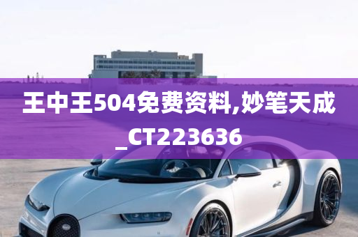 王中王504免费资料,妙笔天成_CT223636