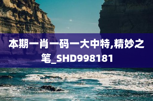 本期一肖一码一大中特,精妙之笔_SHD998181