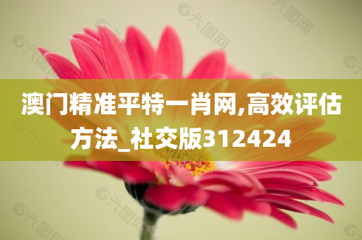 澳门精准平特一肖网,高效评估方法_社交版312424