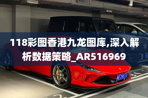 118彩图香港九龙图库,深入解析数据策略_AR516969