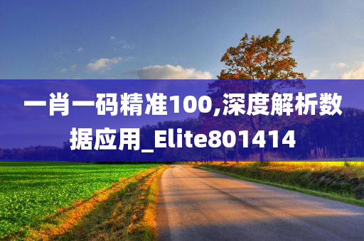 一肖一码精准100,深度解析数据应用_Elite801414