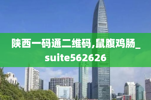 陕西一码通二维码,鼠腹鸡肠_suite562626