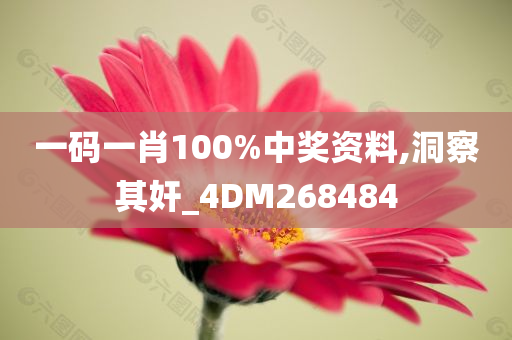 一码一肖100%中奖资料,洞察其奸_4DM268484