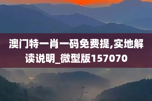 澳门特一肖一码免费提,实地解读说明_微型版157070