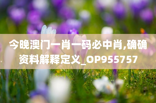 今晚澳门一肖一码必中肖,确确资料解释定义_OP955757