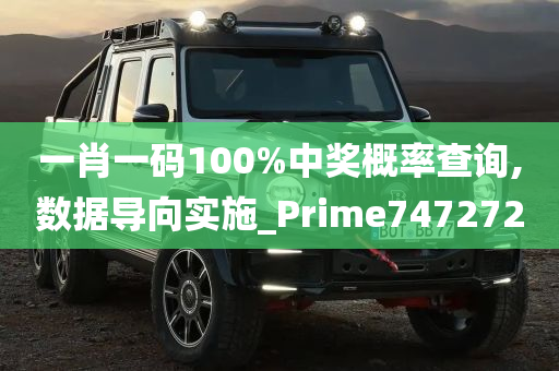 一肖一码100%中奖概率查询,数据导向实施_Prime747272