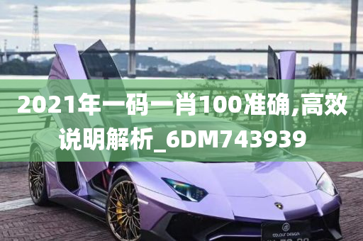 2021年一码一肖100准确,高效说明解析_6DM743939