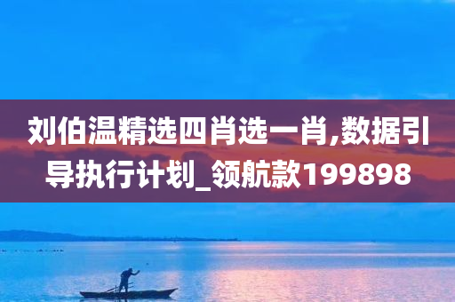 刘伯温精选四肖选一肖,数据引导执行计划_领航款199898