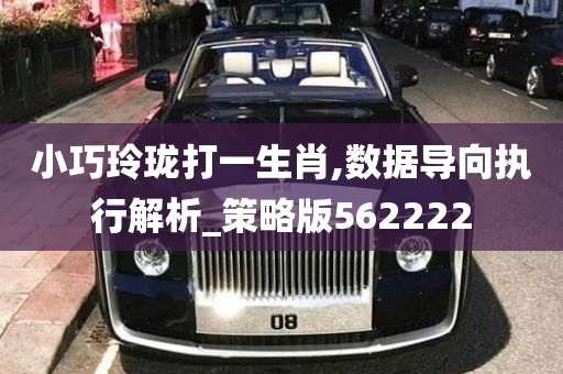 小巧玲珑打一生肖,数据导向执行解析_策略版562222