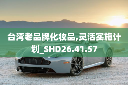 台湾老品牌化妆品,灵活实施计划_SHD26.41.57