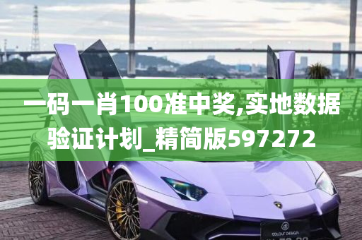 一码一肖100准中奖,实地数据验证计划_精简版597272