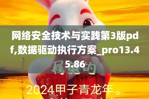 网络安全技术与实践第3版pdf,数据驱动执行方案_pro13.45.86