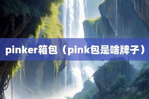 pinker箱包（pink包是啥牌子）