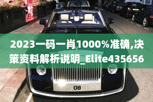 2023一码一肖1000%准确,决策资料解析说明_Elite435656