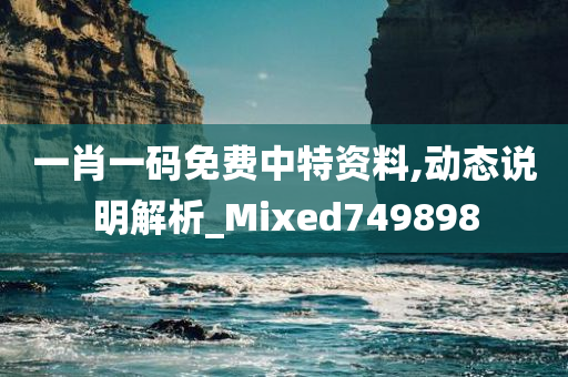 一肖一码免费中特资料,动态说明解析_Mixed749898