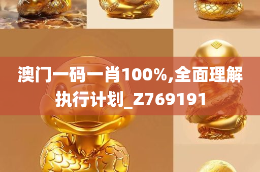 澳门一码一肖100%,全面理解执行计划_Z769191