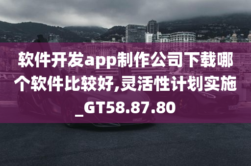 软件开发app制作公司下载哪个软件比较好,灵活性计划实施_GT58.87.80