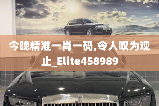 今晚精准一肖一码,令人叹为观止_Elite458989