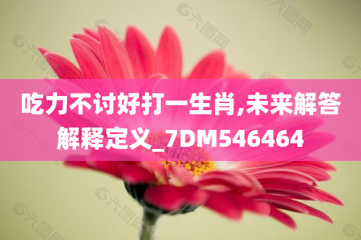 吃力不讨好打一生肖,未来解答解释定义_7DM546464