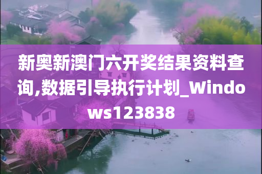 新奥新澳门六开奖结果资料查询,数据引导执行计划_Windows123838