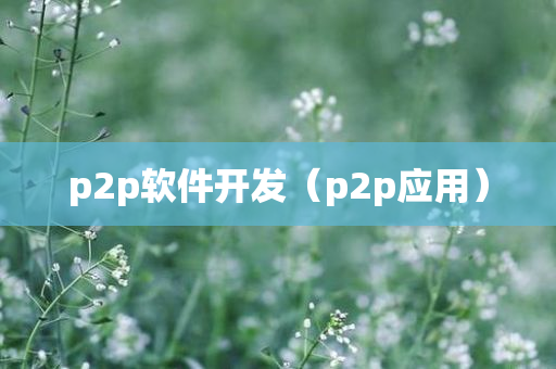 p2p软件开发（p2p应用）