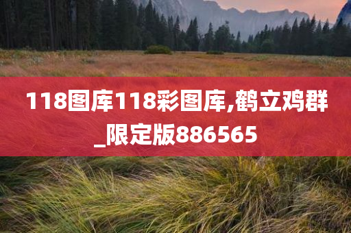 118图库118彩图库,鹤立鸡群_限定版886565