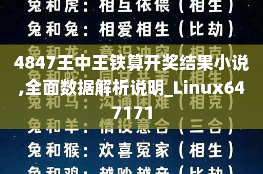 4847王中王铁算开奖结果小说,全面数据解析说明_Linux647171