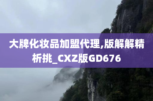 大牌化妆品加盟代理,版解解精析挑_CXZ版GD676