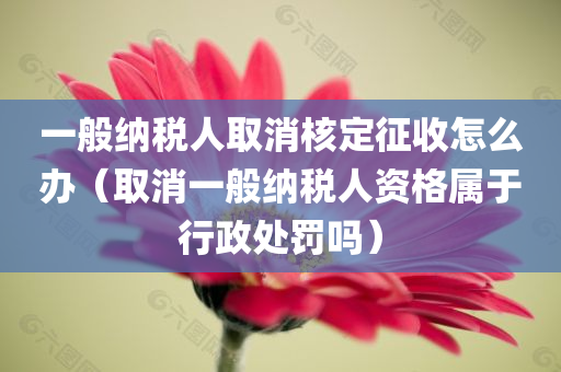 一般纳税人取消核定征收怎么办（取消一般纳税人资格属于行政处罚吗）