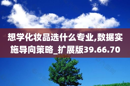 想学化妆品选什么专业,数据实施导向策略_扩展版39.66.70