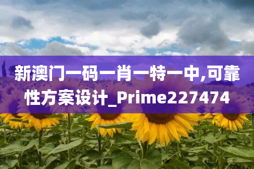 新澳门一码一肖一特一中,可靠性方案设计_Prime227474